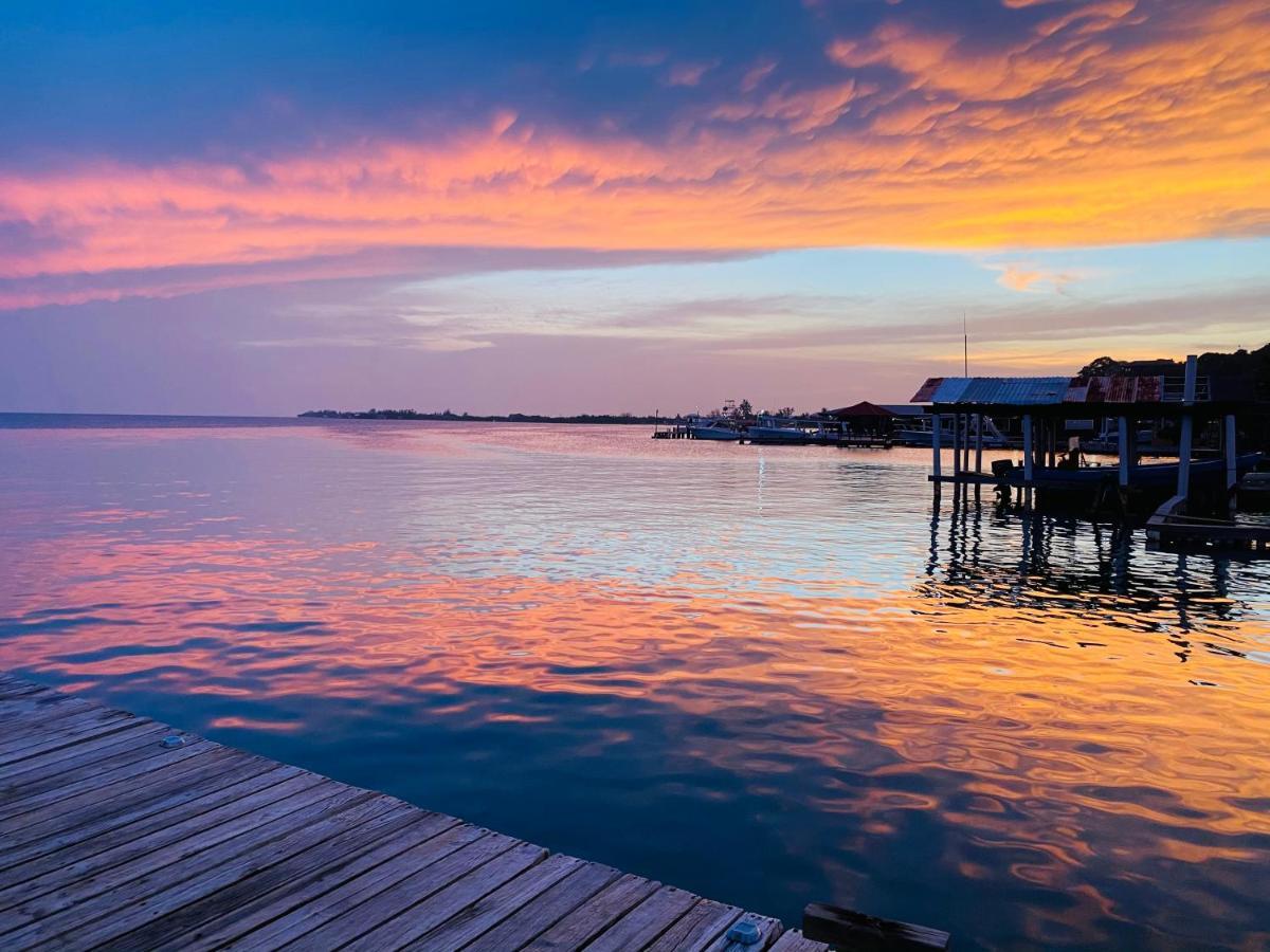 Blue Sky Rentals Utila Εξωτερικό φωτογραφία